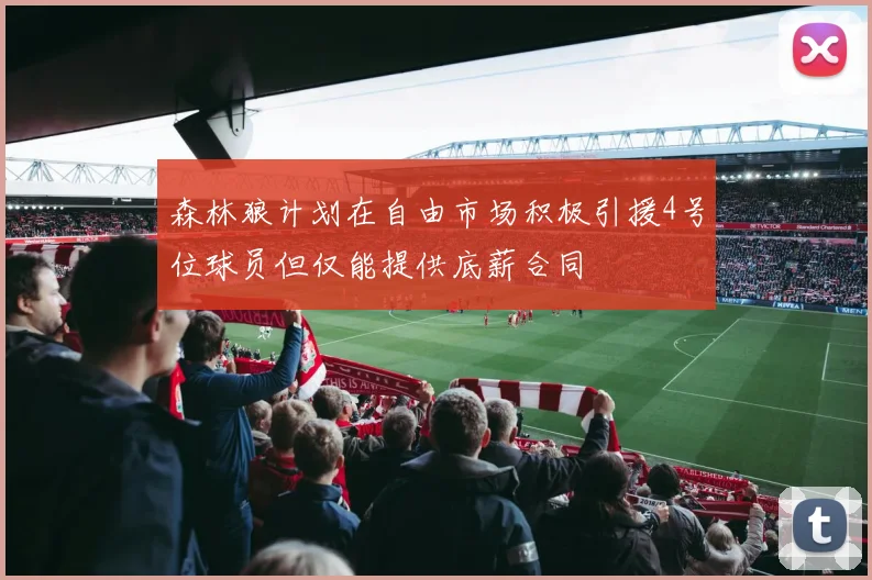森林狼计划在自由市场积极引援4号位球员但仅能提供底薪合同